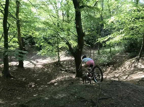 Bot bike dro.webp
