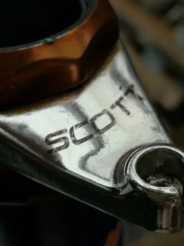 scott.webp