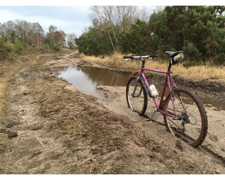Mud_1.webp