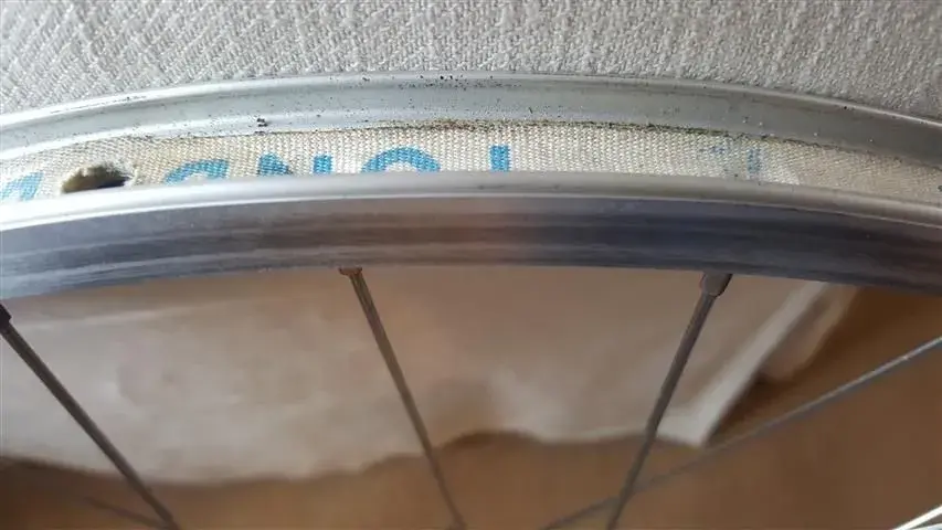 20181215_121146 (Small).webp