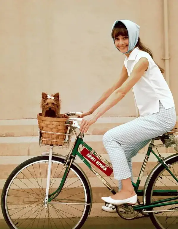 Audrey Hepburn Mixtie.webp