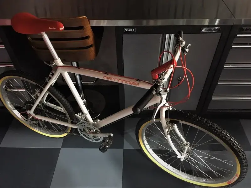 Cannondale 1987.webp