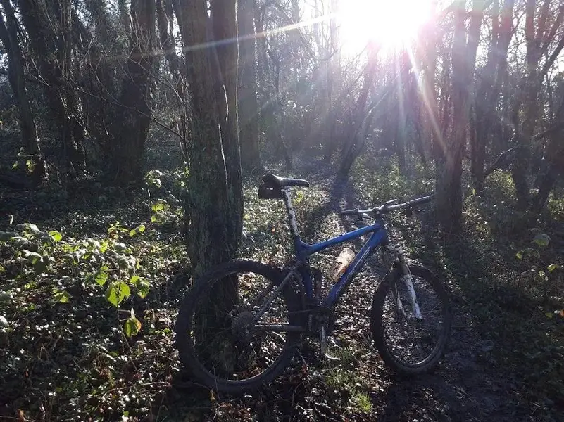 xmas eve ride 2.webp