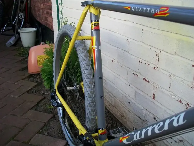 carrera side.webp