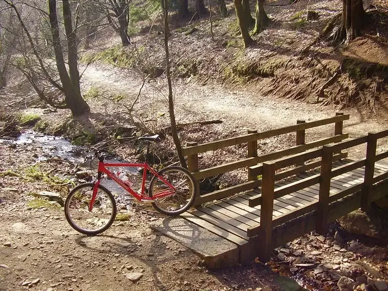 Cwmcarn 1.webp