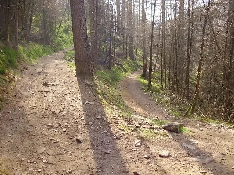 Cwmcarn 2.webp