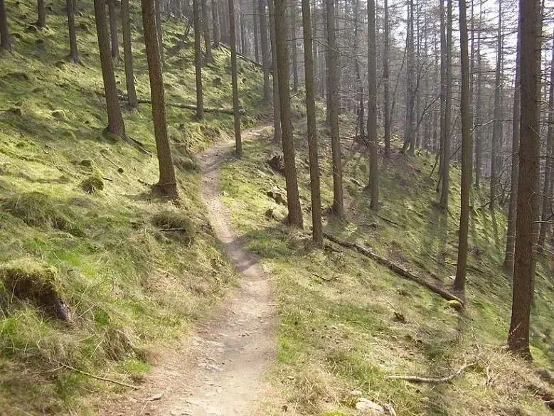 Cwmcarn 3.webp
