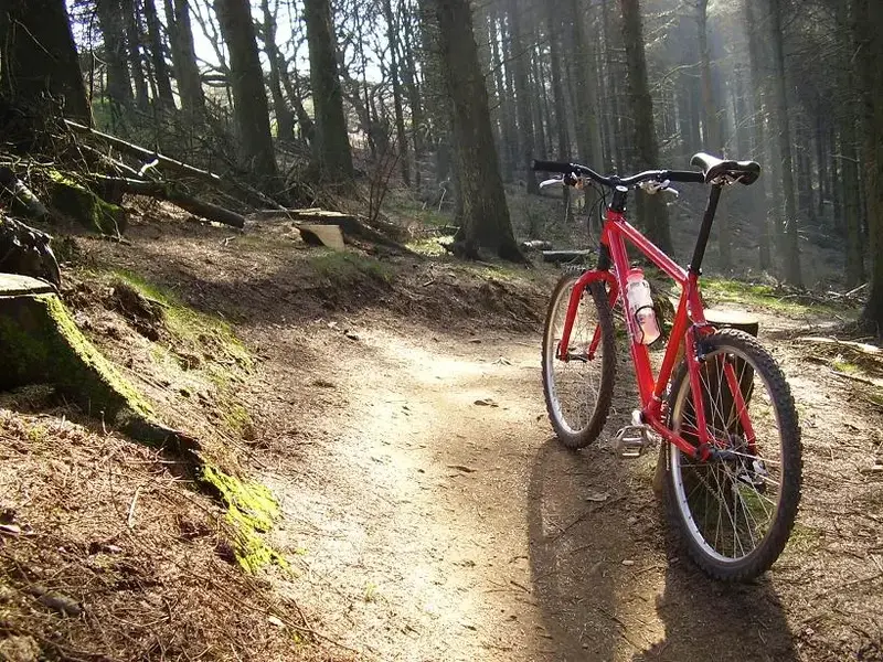 Cwmcarn 4.webp