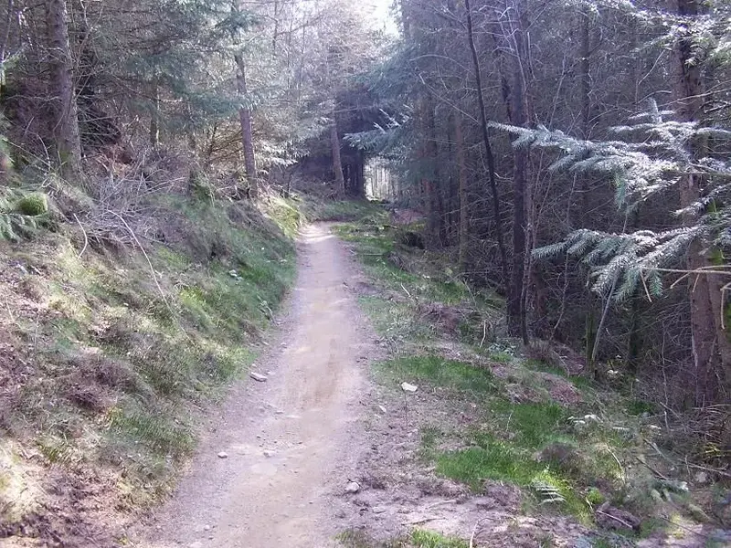 Cwmcarn 5.webp
