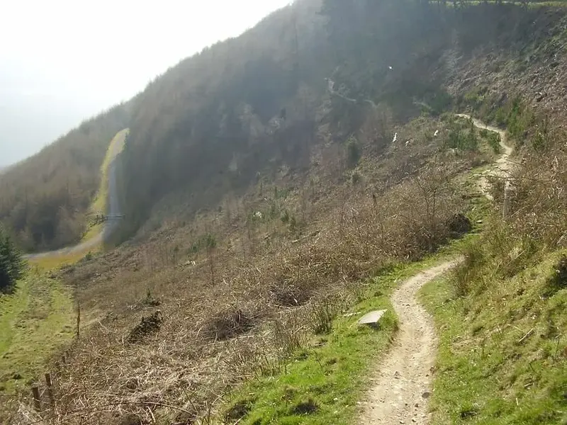 Cwmcarn 6.webp