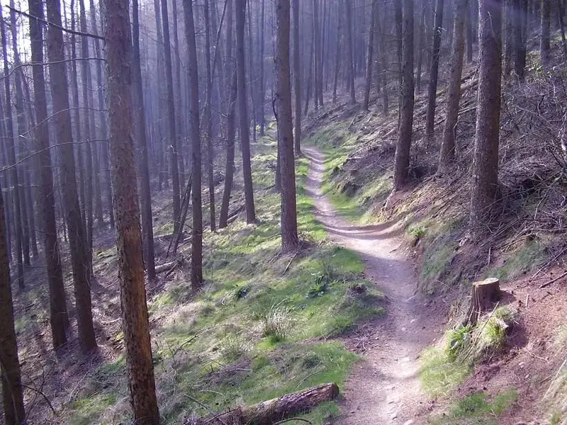 Cwmcarn 7.webp