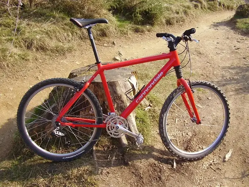 Cannondale 21-3-09.webp