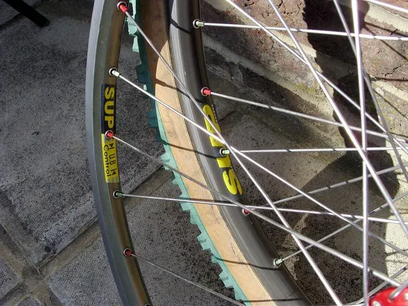 wheel2.webp