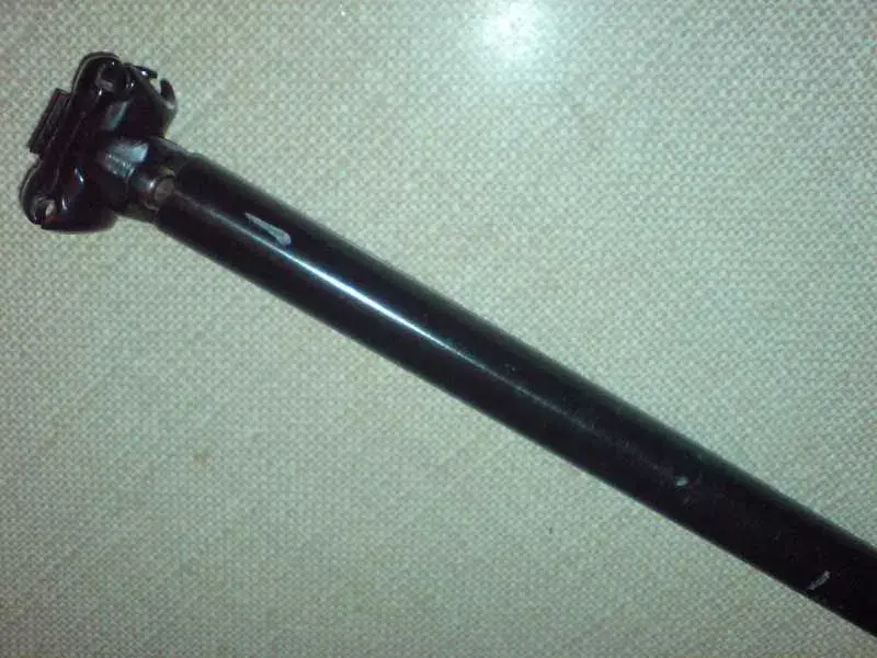 DSC00421.webp