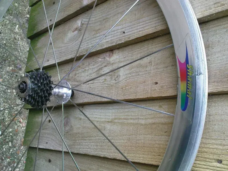 Campagnolo Shamal 1.webp