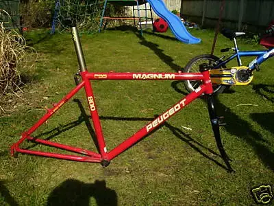 peugeot.webp