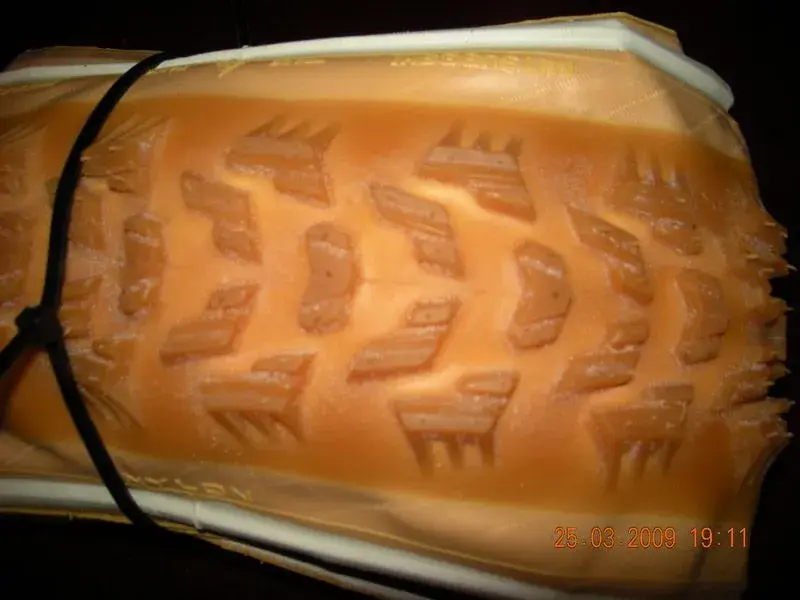 DSCN5736.webp