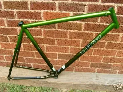 XL Yo Eddy chameleon.webp