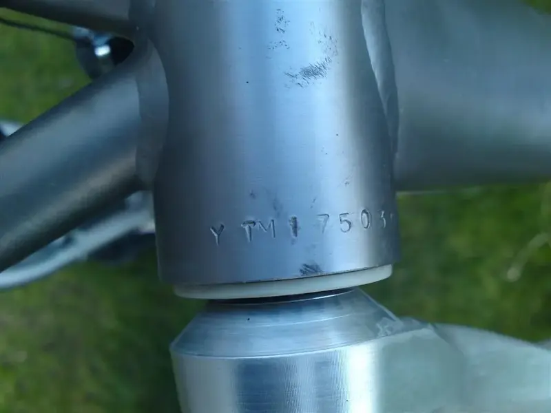 Serial Number (1) (Large).webp