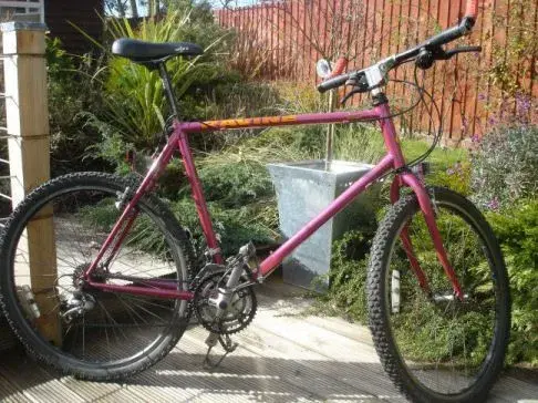 Raleigh Peak.webp