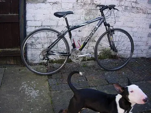 trek1.webp
