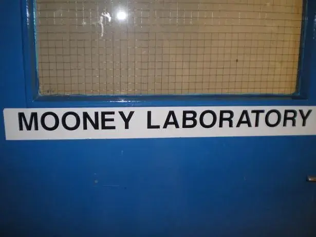 my lab.webp