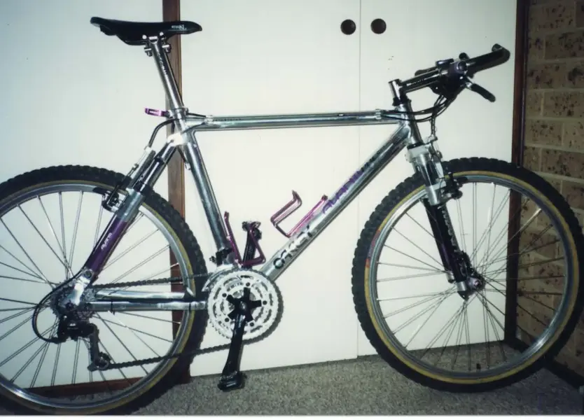 Avanti Shocker.webp