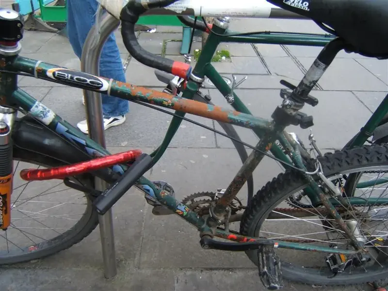 Picture 010 (Large).webp