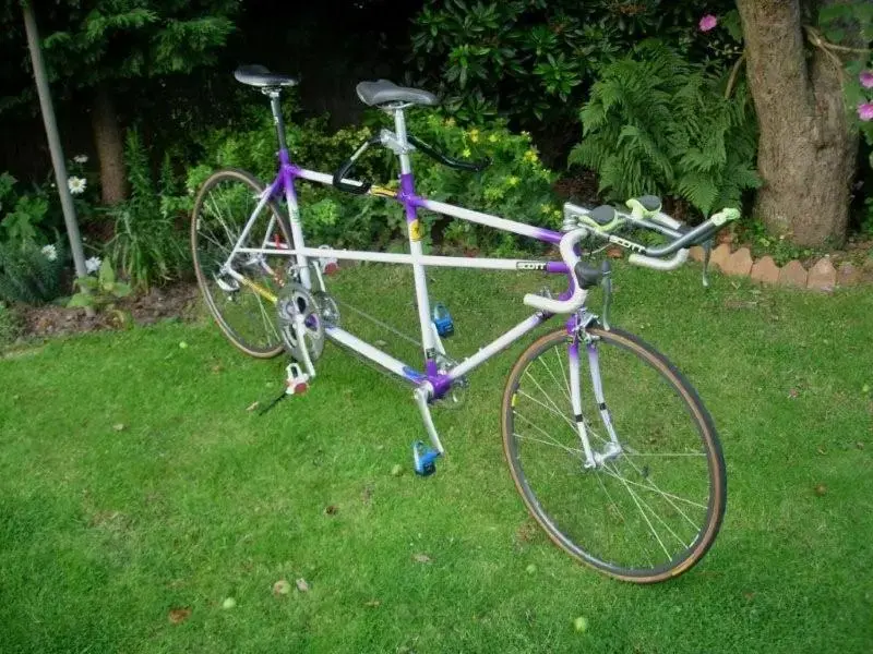 DSCN1900.webp