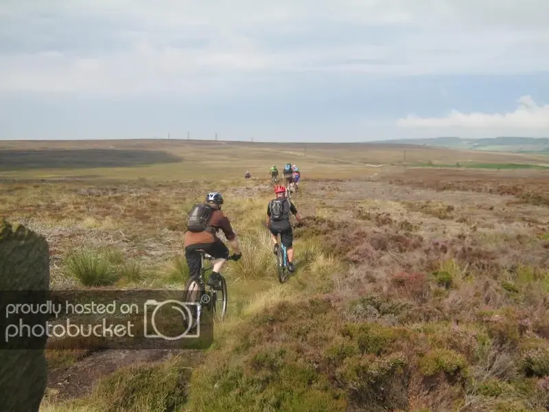 ont moors.webp