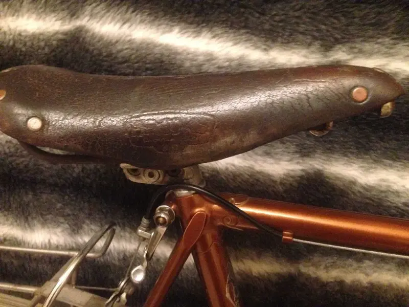 Saddle.webp