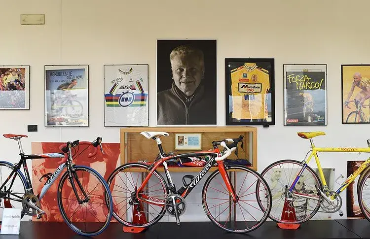 Wilier_Farmer_007Lo.webp