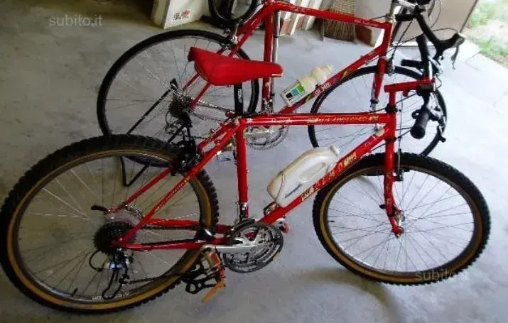 OLMO 50 3.webp