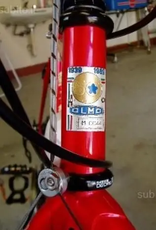 OLMO 50.webp