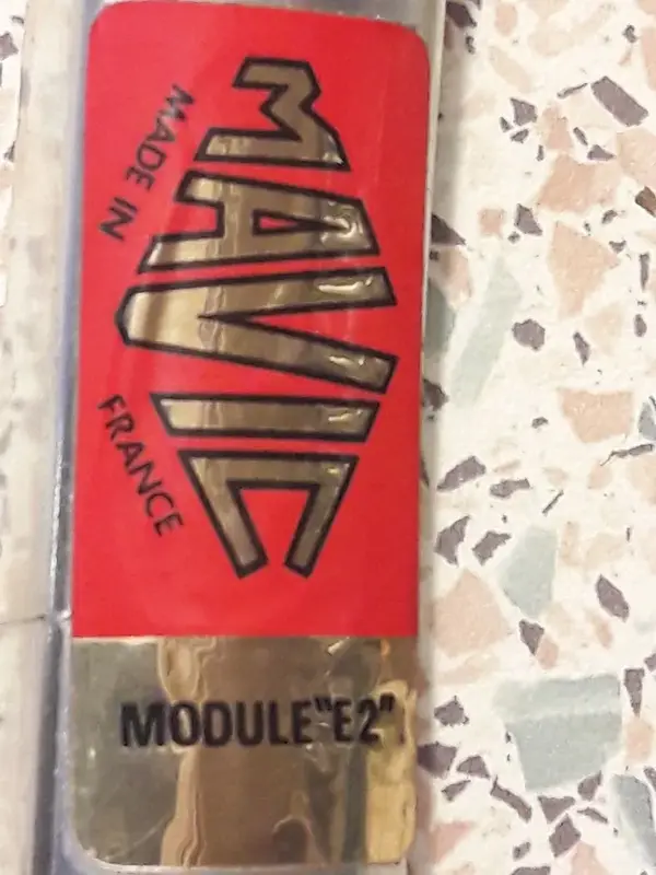 Mavic E2 2.webp