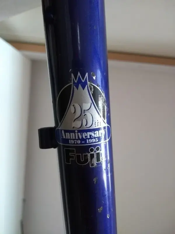 Fuji 09.webp