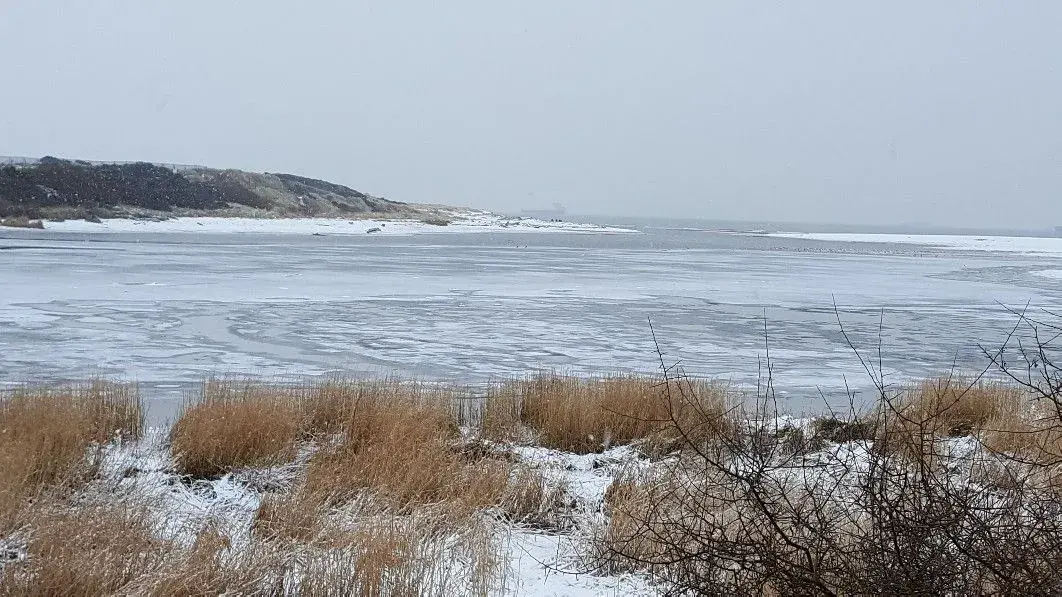 20190203_104920-1062x597.webp