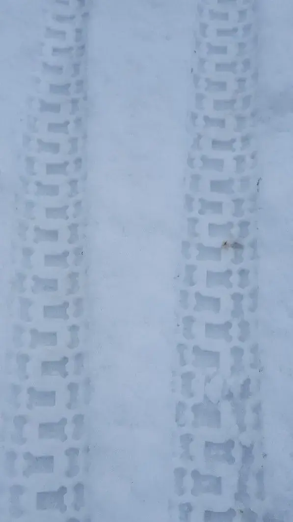 20190203_113918-597x1061.webp