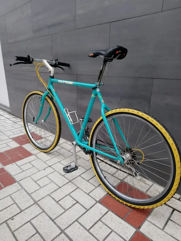 IMG-20190203-WA0064.webp
