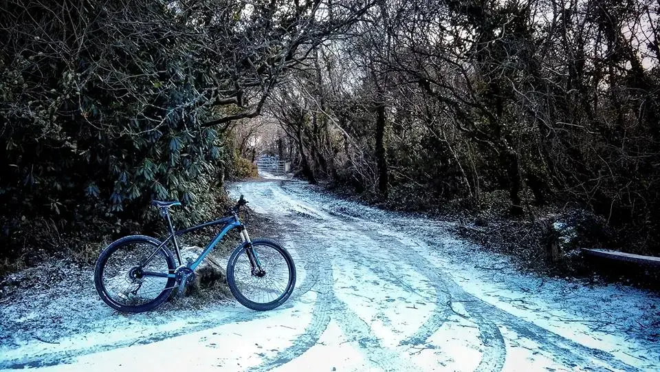 saracen snow.webp