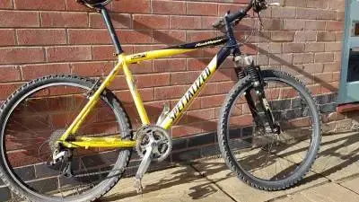 mtb1 copy.webp