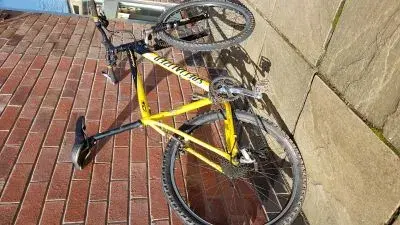 mtb2 copy.webp