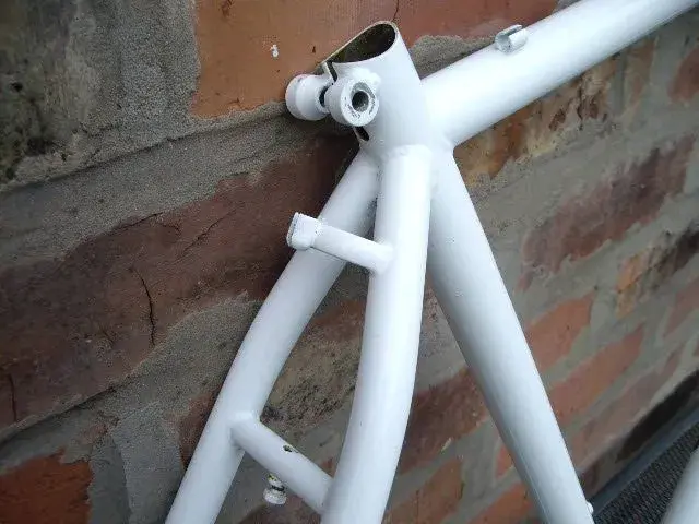 IMGP1653.webp