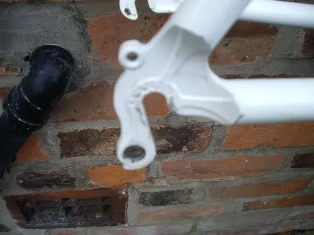 IMGP1652.webp