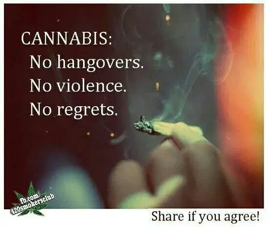 74faea36bbfd61840d5f24931904033f--weed-quotes-marijuana-quotes.webp