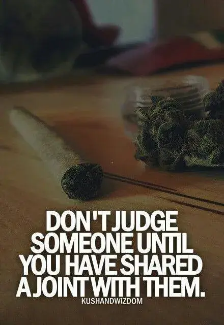 6972142a77a12c498e795de1daf0b483--stoner-quotes-weed-quotes.webp
