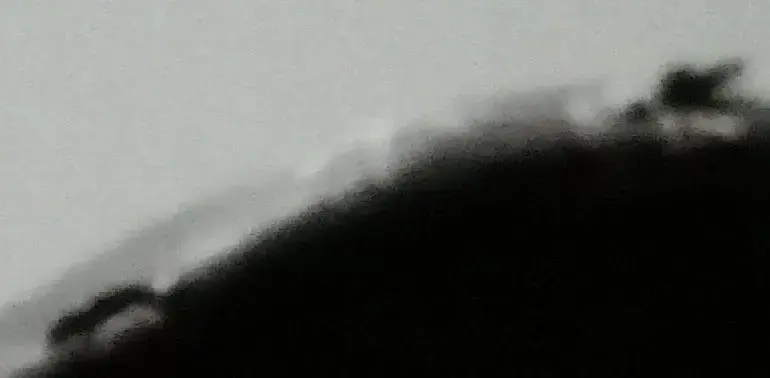 saddle 2.webp
