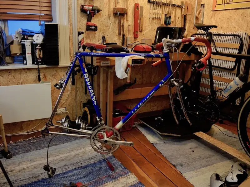 DSCN6624.webp