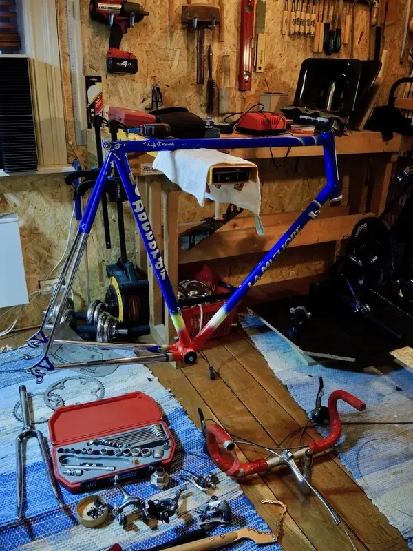 DSCN6630.webp