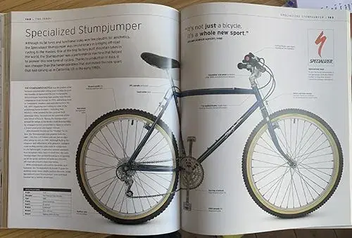DKStumpie2.webp